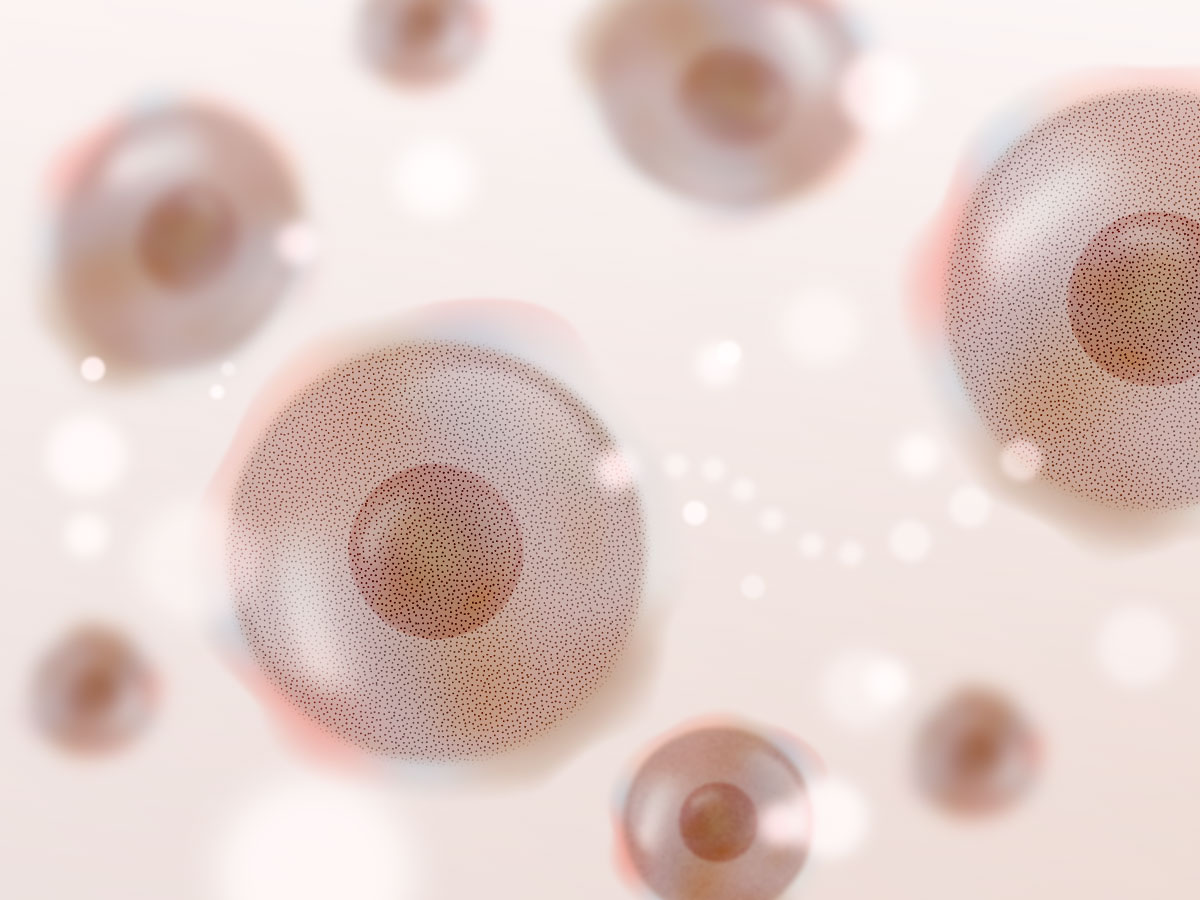 feat0<br />
<b>Warning</b>:  Undefined variable $i in <b>/home/xs171376/reunet.jp/public_html/trial16/wp/wp-content/themes/reutrial/parts/loop_features.php</b> on line <b>20</b><br />
<br />
<b>Warning</b>:  Undefined variable $count in <b>/home/xs171376/reunet.jp/public_html/trial16/wp/wp-content/themes/reutrial/parts/loop_features.php</b> on line <b>20</b><br />
2