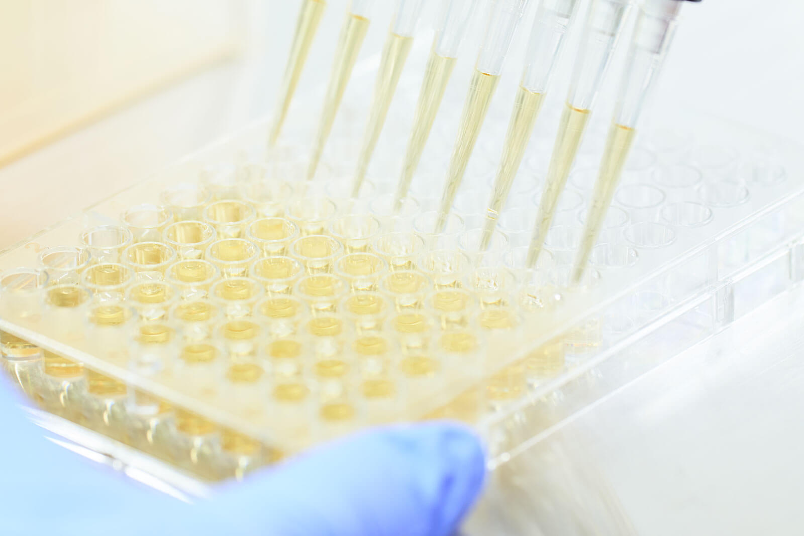 幹細胞培養上清液